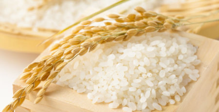 無農薬 米