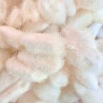 IMG_0959-01-sss IMG_0959-01-sss