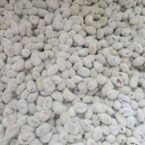 mamekin-tffca-mame-kin2020 mamekin-tffca-mame-kin2020